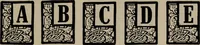 Picture 43 of 407 from Abridged specimen book, type : nickel-alloy on universal line comprising a price list of types, borders, leads and slugs, brass rule, brass galleys ; miscellaneous cuts and general supplies for printers (1906), leaf 352