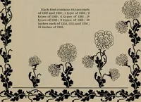 Picture 103 of 407 from Abridged specimen book, type : nickel-alloy on universal line comprising a price list of types, borders, leads and slugs, brass rule, brass galleys ; miscellaneous cuts and general supplies for printers (1906), leaf 370
