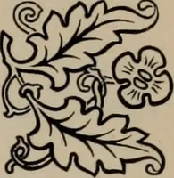 Picture 116 of 407 from Abridged specimen book, type : nickel-alloy on universal line comprising a price list of types, borders, leads and slugs, brass rule, brass galleys ; miscellaneous cuts and general supplies for printers (1906), leaf 378