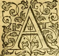 An illustration from An abstract of all the penal statutes which be general, in force and use : wherein is conteyned the effect of all those statutes which do threaten to the offendors thereof the losse of life, member, lands, goods, or other punishment or forfeiture whatsoeuer : whereunto is also added in their apt titles, the effect of all other statutes, wherein there is any thing materiall and necessarie for eche subject to knowe : moreouer, the aucthoritie and duetie of all iustices, sherifes, coroners, eschetors, maiors, bailiffes, customers, comptrollers of custome, stewards of leetes and liberties, aulnegers and purueyors, and what things by the letter of seuerall statutes in force they may, ought, or are compellable to doe (1586)
