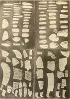 An illustration from Abydos (1902)