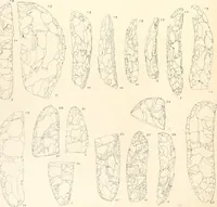 An illustration from Abydos (1902)