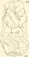 Picture 56 of 222 from Abydos (1902), leaf 114
