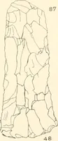 Picture 58 of 222 from Abydos (1902), leaf 114