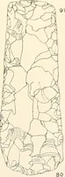 An illustration from Abydos (1902)