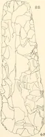 Picture 61 of 222 from Abydos (1902), leaf 114