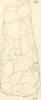 Picture 64 of 222 from Abydos (1902), leaf 114