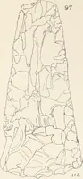 An illustration from Abydos (1902)