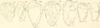 An illustration from Abydos (1902)