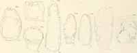 Picture 70 of 222 from Abydos (1902), leaf 118