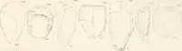 An illustration from Abydos (1902)