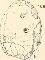 Picture 74 of 222 from Abydos (1902), leaf 120