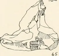 An illustration from Abydos (1902)