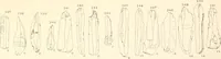 An illustration from Abydos (1902)