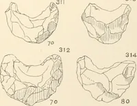 An illustration from Abydos (1902)