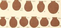 Picture 102 of 222 from Abydos (1902), leaf 144