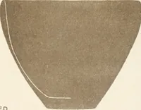 An illustration from Abydos (1902)