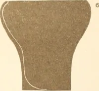 An illustration from Abydos (1902)