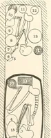 Picture 152 of 222 from Abydos (1902), leaf 171