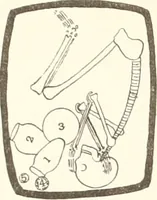 Picture 153 of 222 from Abydos (1902), leaf 171