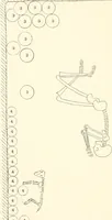 Picture 156 of 222 from Abydos (1902), leaf 171