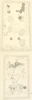 An illustration from Abydos (1902)