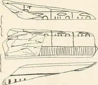 Picture 165 of 222 from Abydos (1902), leaf 178