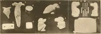 An illustration from Abydos (1902)