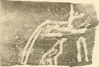 An illustration from Abydos (1902)