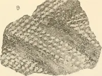 An illustration from Abydos (1902)