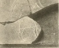 Picture 24 of 222 from Abydos (1902), leaf 82