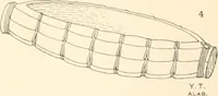 Picture 35 of 222 from Abydos (1902), leaf 92