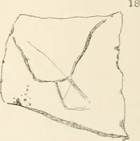 Picture 46 of 222 from Abydos (1902), leaf 98