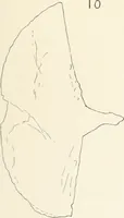 Picture 25 of 129 from Abydos (1902), leaf 112