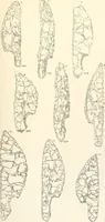 Picture 67 of 129 from Abydos (1902), leaf 148