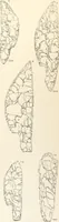 Picture 68 of 129 from Abydos (1902), leaf 148