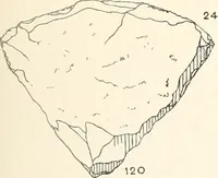 Picture 70 of 129 from Abydos (1902), leaf 150