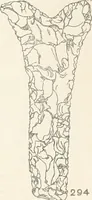 Picture 74 of 129 from Abydos (1902), leaf 150