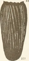 Picture 82 of 129 from Abydos (1902), leaf 154