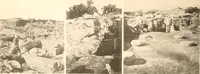Picture 89 of 129 from Abydos (1902), leaf 163