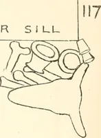 Picture 117 of 129 from Abydos (1902), leaf 205