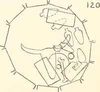 Picture 118 of 129 from Abydos (1902), leaf 205