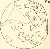 Picture 119 of 129 from Abydos (1902), leaf 205