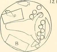 Picture 120 of 129 from Abydos (1902), leaf 205