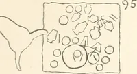 Picture 122 of 129 from Abydos (1902), leaf 205