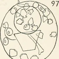 Picture 128 of 129 from Abydos (1902), leaf 206