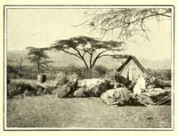 Picture 8 of 19 from Abyssinia through the Lion-land to the court of the Lion of Judah (1901), leaf 179