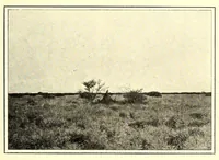 An illustration from Abyssinia through the Lion-land to the court of the Lion of Judah (1901)