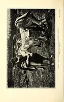 An illustration from Abyssinia through the Lion-land to the court of the Lion of Judah (1901)