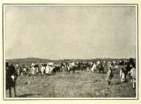 Picture 17 of 19 from Abyssinia through the Lion-land to the court of the Lion of Judah (1901), leaf 326